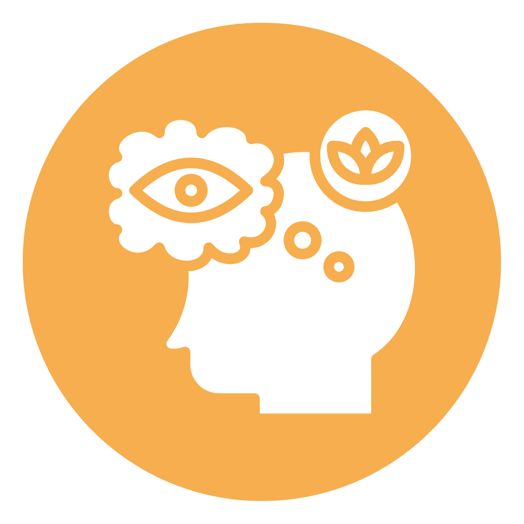 מדריכים מקצועיים